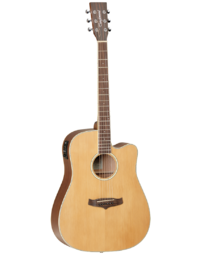 Tanglewood TW10 Winterleaf Solid Top Dreadnought Acoustic w/ Pickup