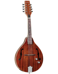 Tanglewood TWMTMHSTE Solid Mahogany Top Mandolin With Pickup