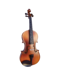 Vivo Neo 3/4 Student Violin Outfit, Including Professional Setup