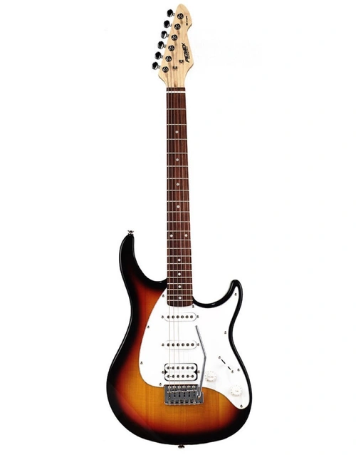 Peavey Raptor Plus Electric Guitar Sunburst | Riffs & Licks